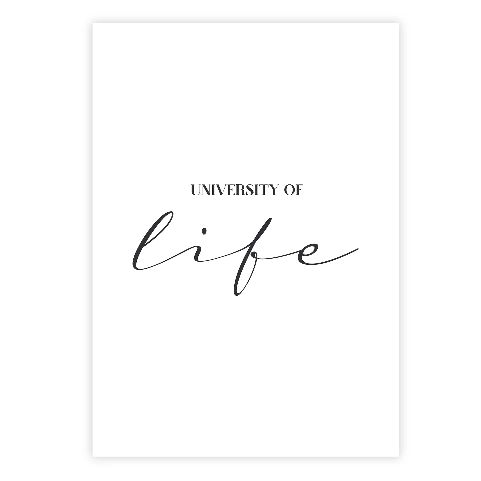 University of life