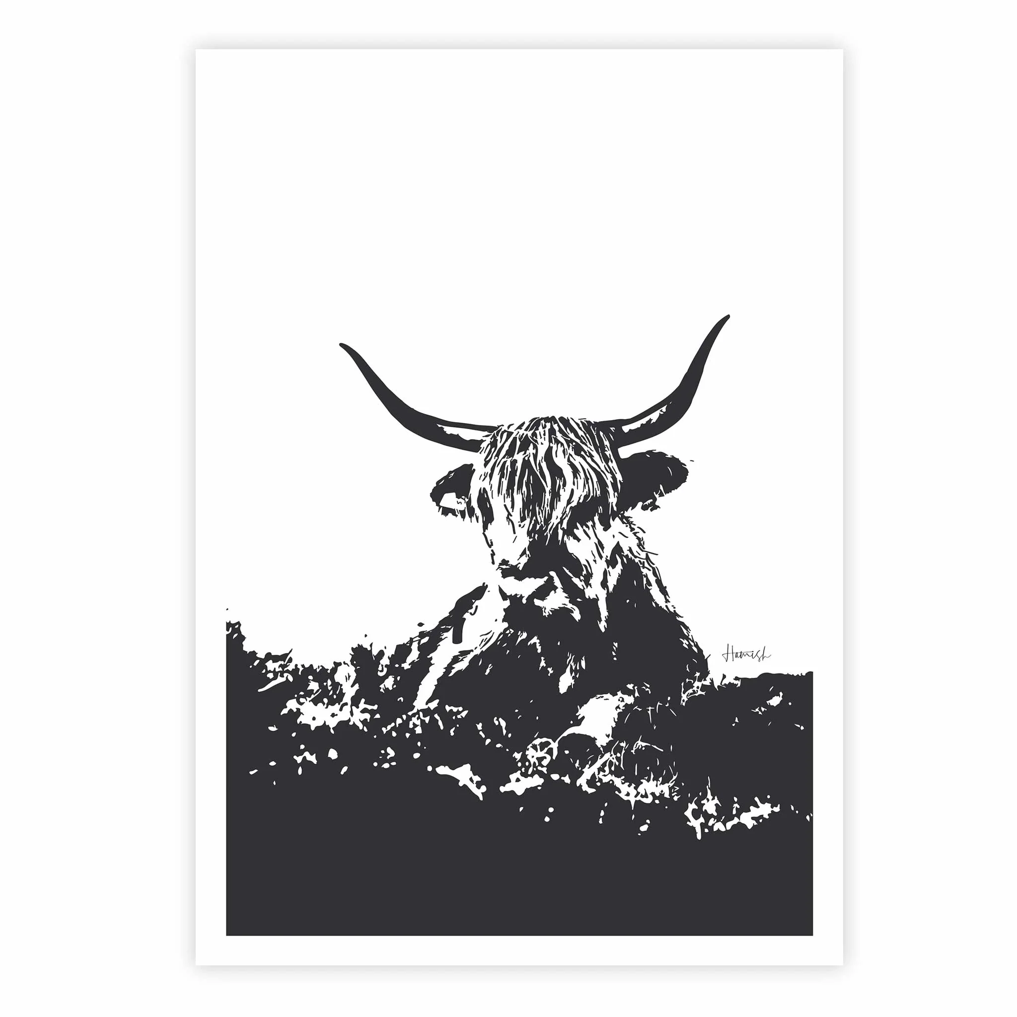 Highland Cow 02