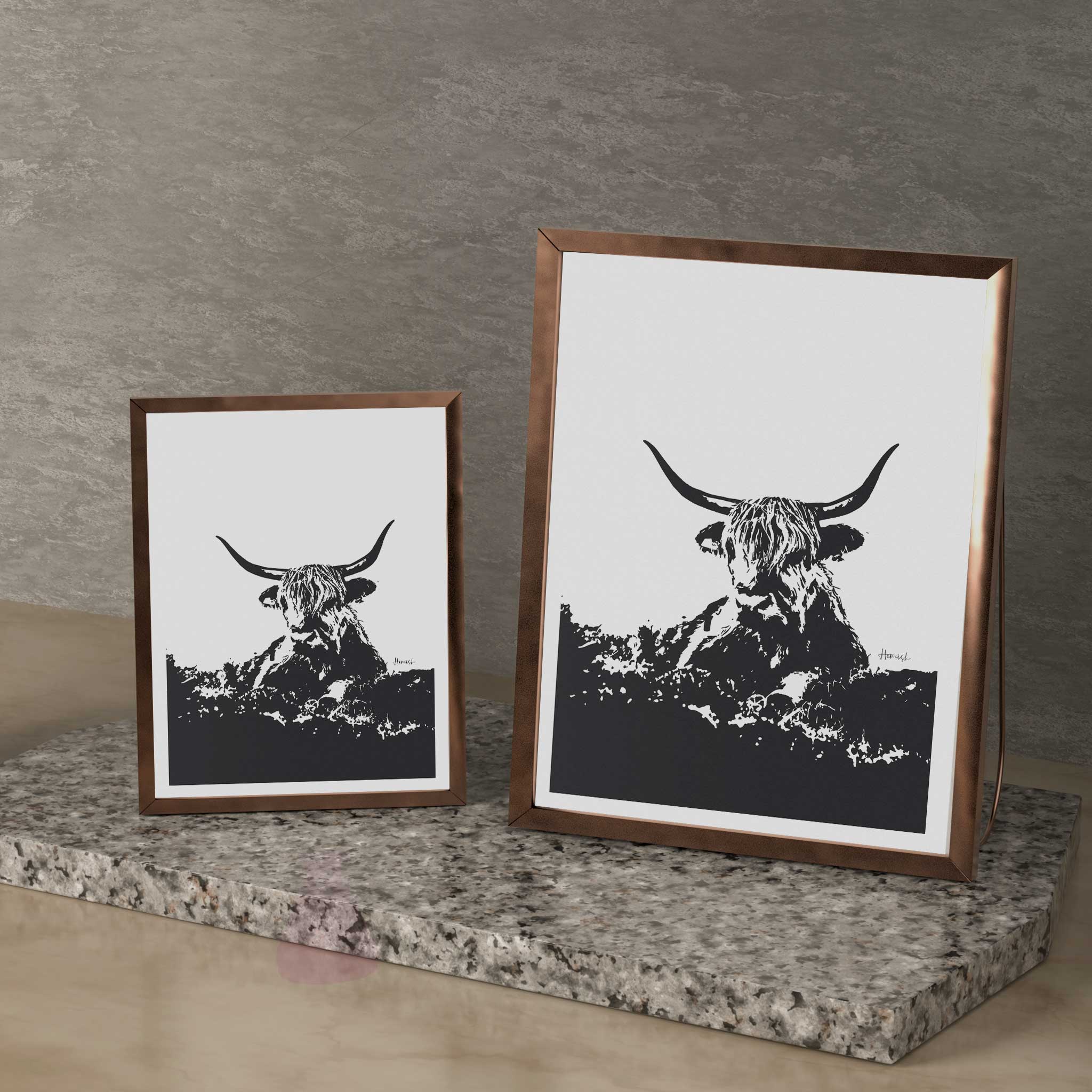Highland Cow 02 - Image 14